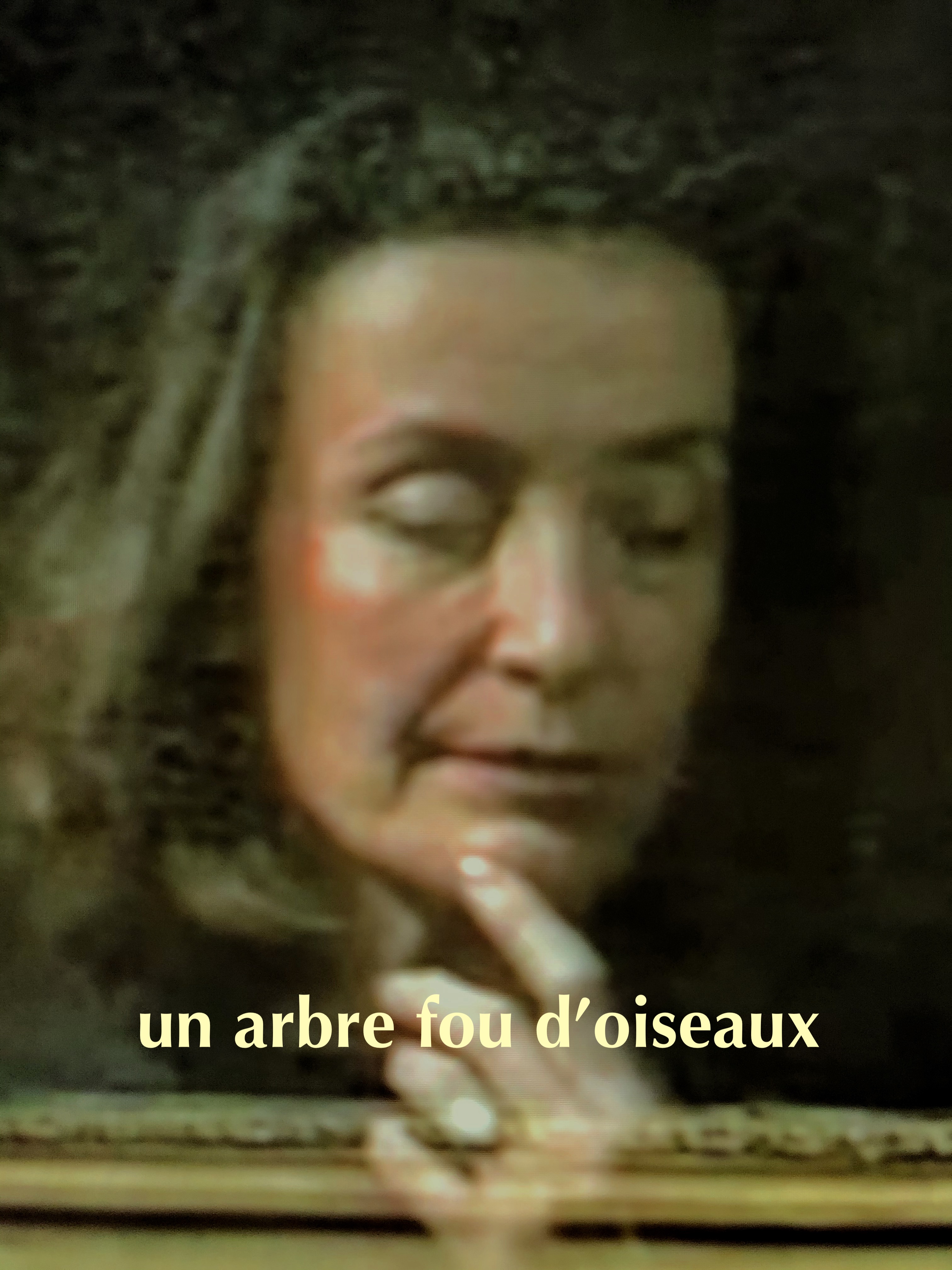 Un arbre fou d'oiseaux